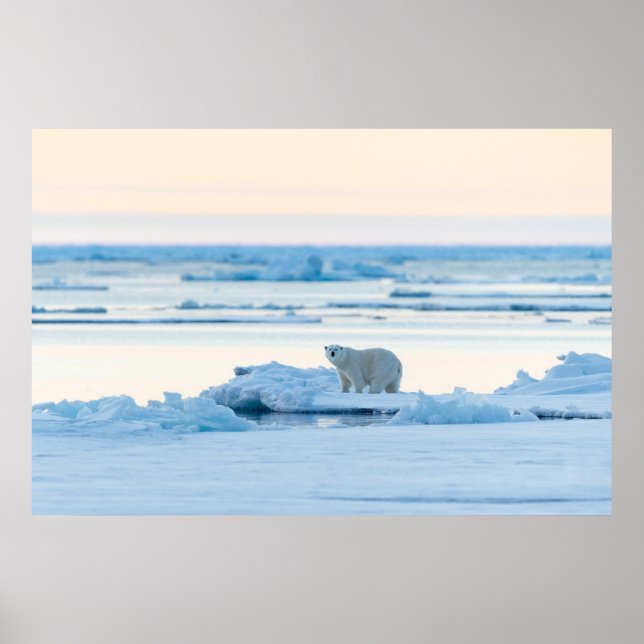 Ice & Snow | Polar Bear Iceberg Norway Poster (Front)