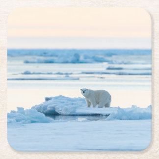 Ice & Snow | Polar Bear Iceberg Norway Square Paper Coaster