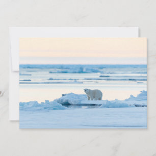 Ice & Snow Polar Bear Iceberg Norway Thank You Card