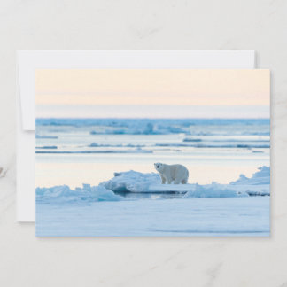 Ice & Snow | Polar Bear Iceberg Norway Thank You Card