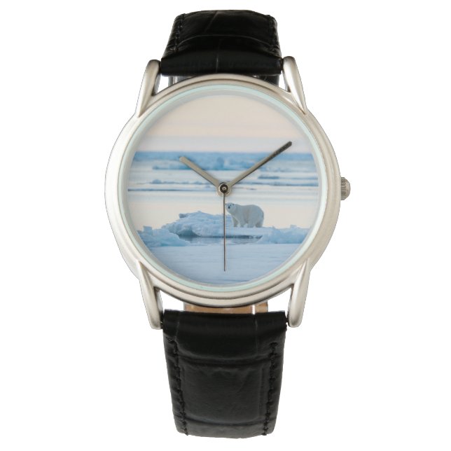 Ice & Snow | Polar Bear Iceberg Norway Watch (Front)