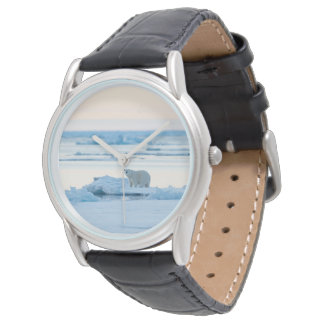 Ice & Snow | Polar Bear Iceberg Norway Watch