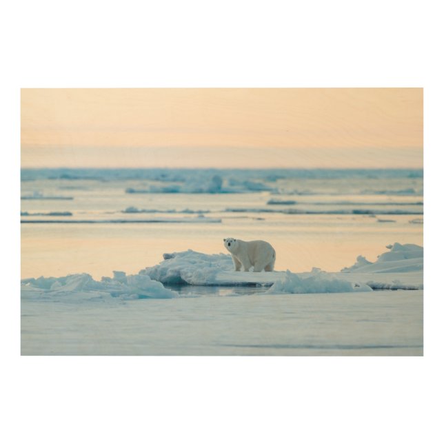 Ice & Snow | Polar Bear Iceberg Norway Wood Wall Art (Front)