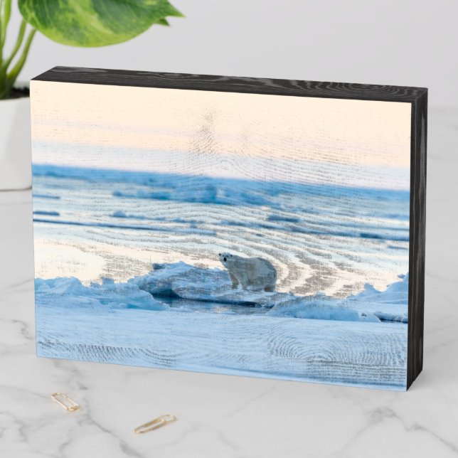 Ice & Snow | Polar Bear Iceberg Norway Wooden Box Sign (In Situ Horizontal)