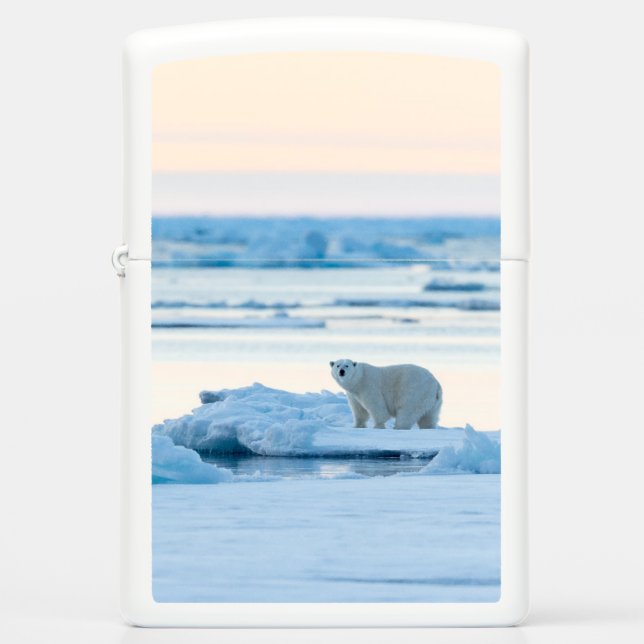 Ice & Snow | Polar Bear Iceberg Norway Zippo Lighter (Front)