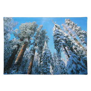 Ice & Snow   Sequoia National Park, California Cloth Placemat