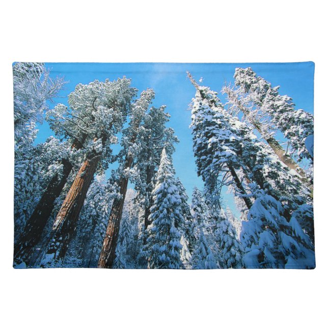 Ice & Snow | Sequoia National Park, California Cloth Placemat (Front)