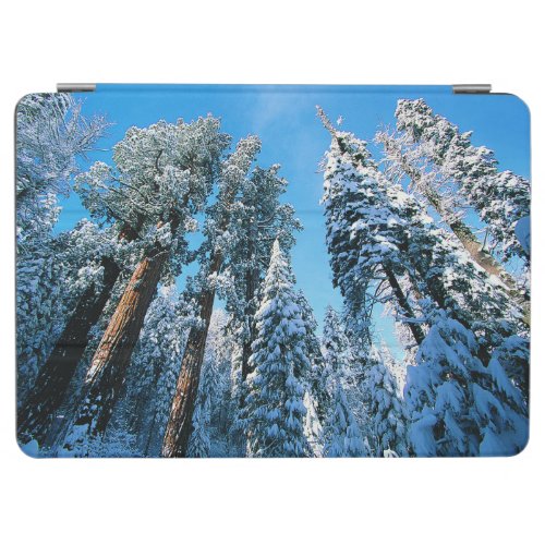 Ice  Snow  Sequoia National Park California iPad Air Cover