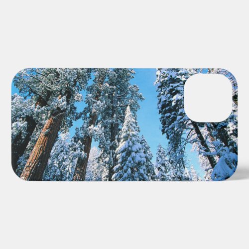 Ice  Snow  Sequoia National Park California iPhone 13 Case