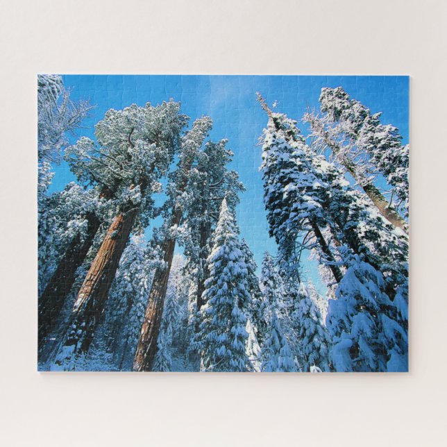 Ice & Snow | Sequoia National Park, California Jigsaw Puzzle (Horizontal)