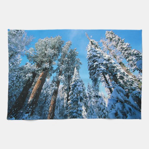 Ice  Snow  Sequoia National Park California Kitchen Towel