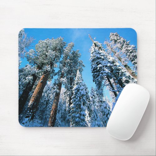 Ice  Snow  Sequoia National Park California Mouse Pad