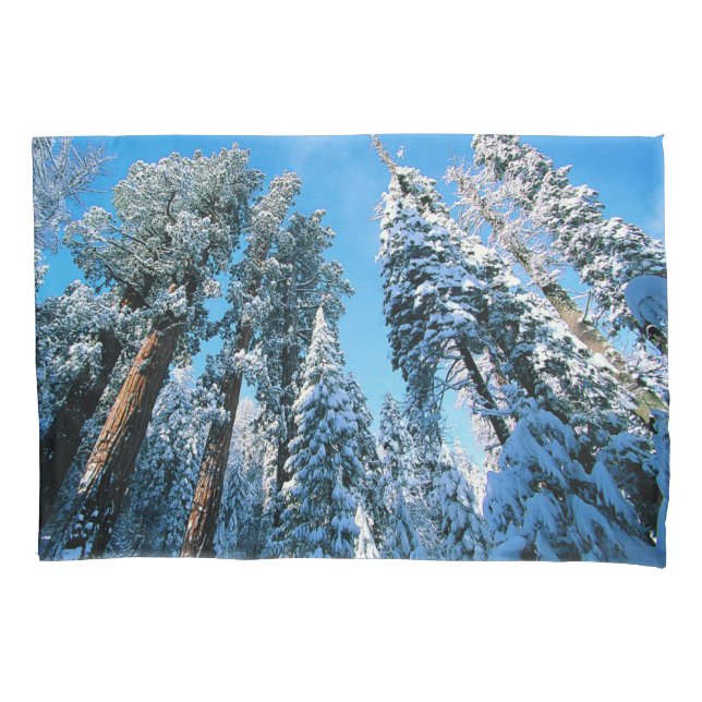 Ice & Snow | Sequoia National Park, California Pillow Case (Front)