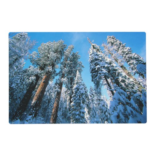 Ice  Snow  Sequoia National Park California Placemat