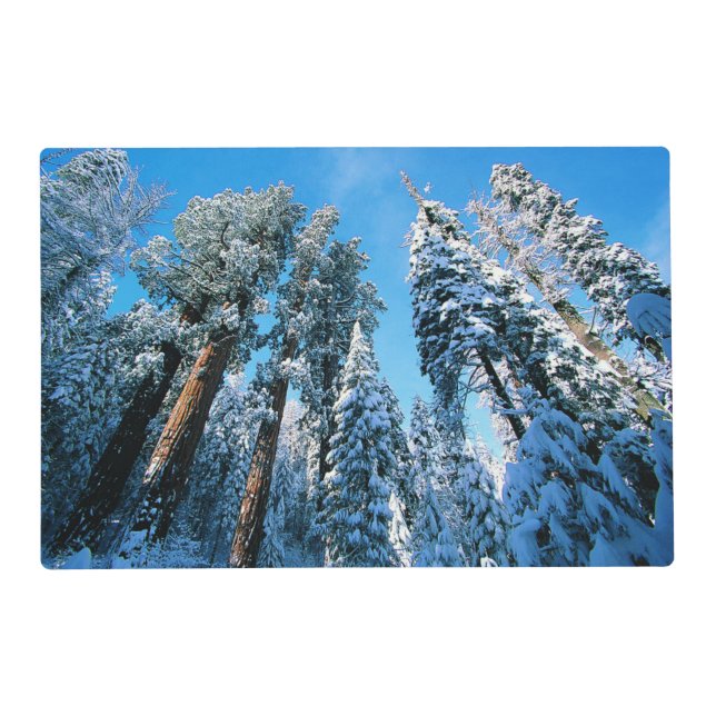 Ice & Snow | Sequoia National Park, California Placemat (Front)
