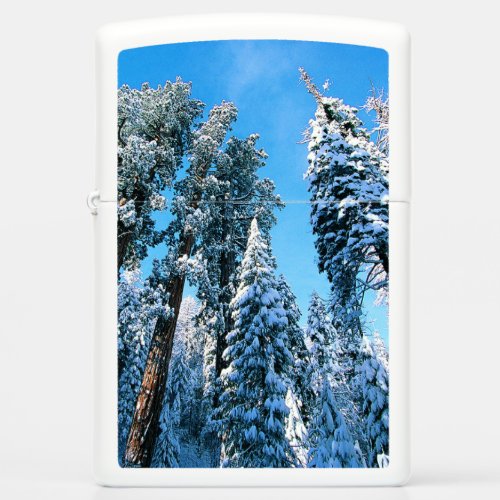 Ice  Snow  Sequoia National Park California Zippo Lighter