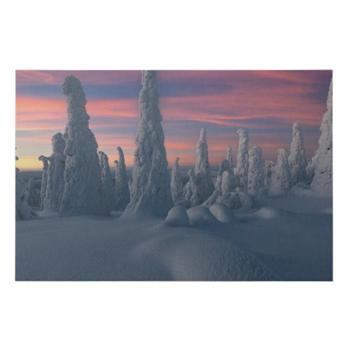 Ice  Snow  Snow Covered Trees Lapland Finland Faux Canvas Print