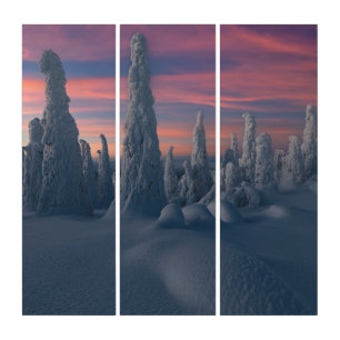 Ice & Snow Snow Covered Trees, Lapland, Finland Triptych