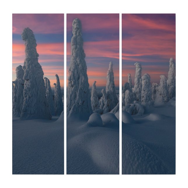 Ice & Snow | Snow Covered Trees, Lapland, Finland Triptych (Front)