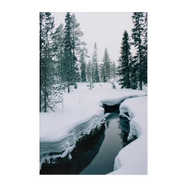 Ice & Snow | Stream in a Snowy Winter Landscape Acrylic Print (Front)
