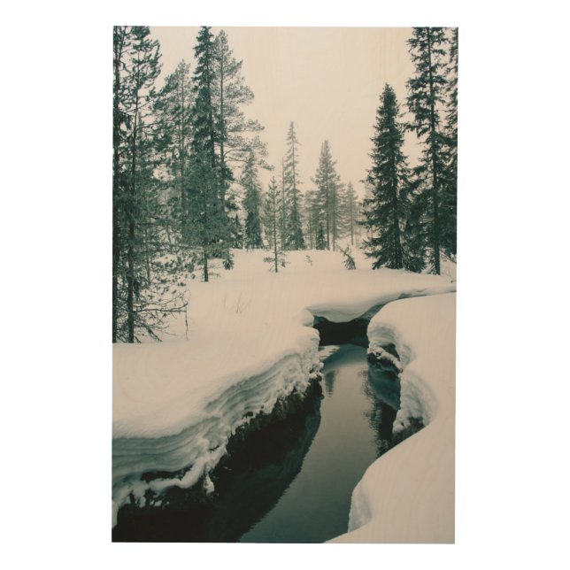 Ice & Snow | Stream in a Snowy Winter Landscape Wood Wall Art (Front)
