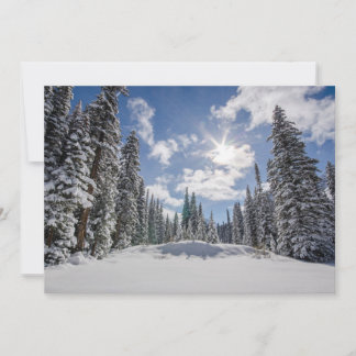 Ice & Snow | Sunrise Winter Snow Alberta, Canada Thank You Card