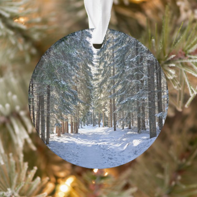 Ice & Snow | Tatra Mountains, Poland Ornament (Tree)