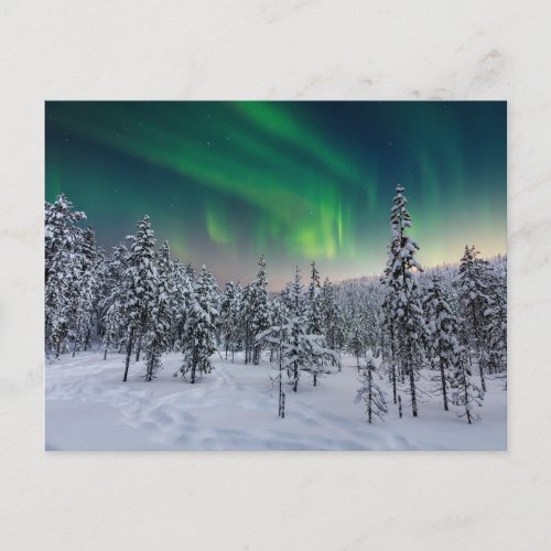 Ice  Snow  Winter Landscape Finland Postcard
