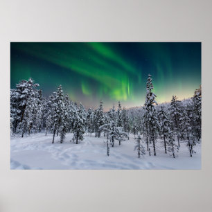 Ice & Snow Winter Landscape, Finland Poster