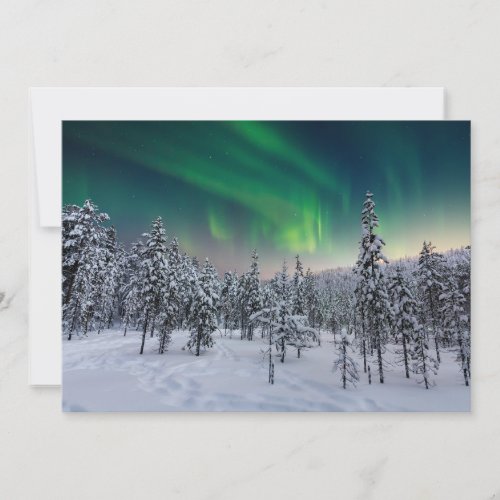 Ice  Snow  Winter Landscape Finland Thank You Card