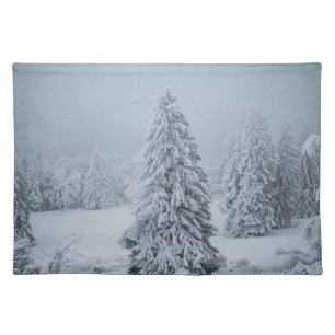 Ice & Snow Woodland, Swiss Alps Cloth Placemat