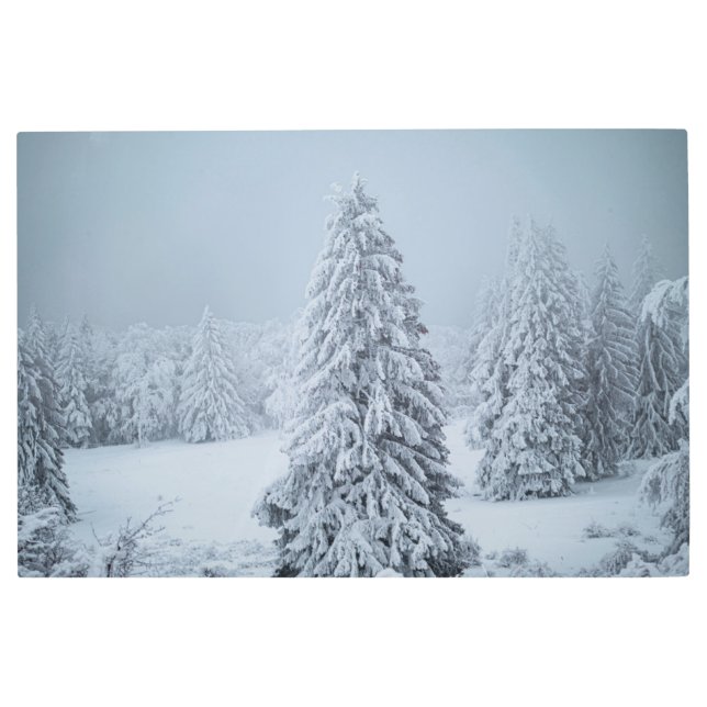Ice & Snow | Woodland, Swiss Alps Metal Print (Front)