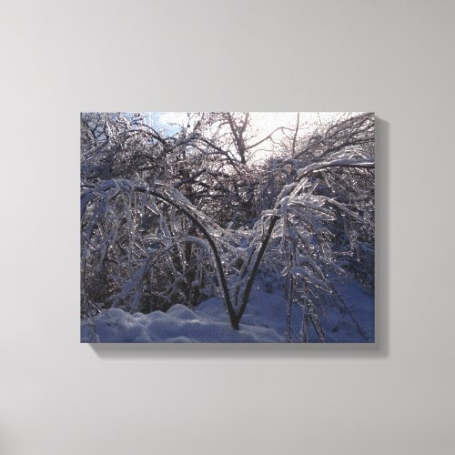 Ice Storm Photo Canvas Art Print Michigan