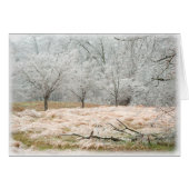 Ice Storm Rural Tennessee - Photograph (Front Horizontal)