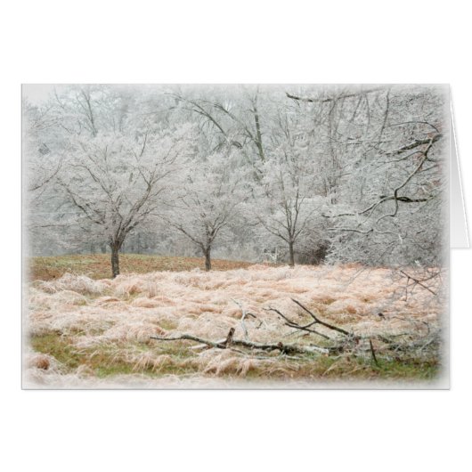 Ice Storm Rural Tennessee - Photograph (Front Horizontal)