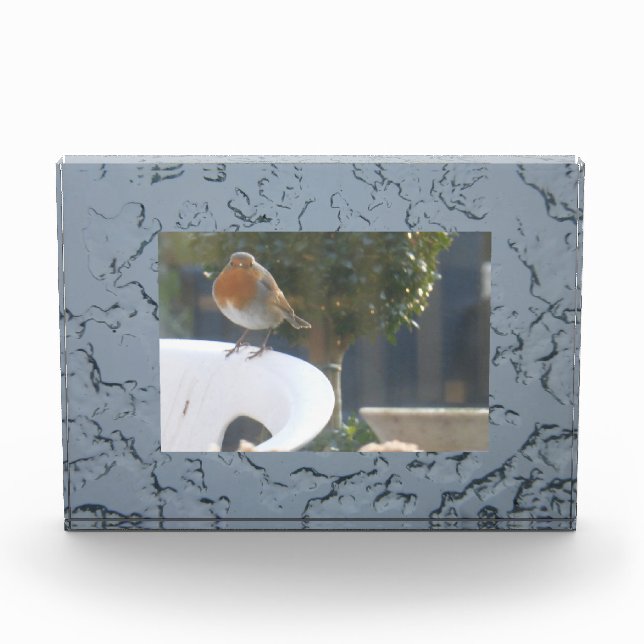 Ice Surface on Pond Photo Block (Front)