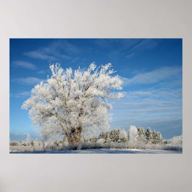 Ice Tree Poster (Front)