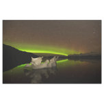 Iceberg Aurora Fabric