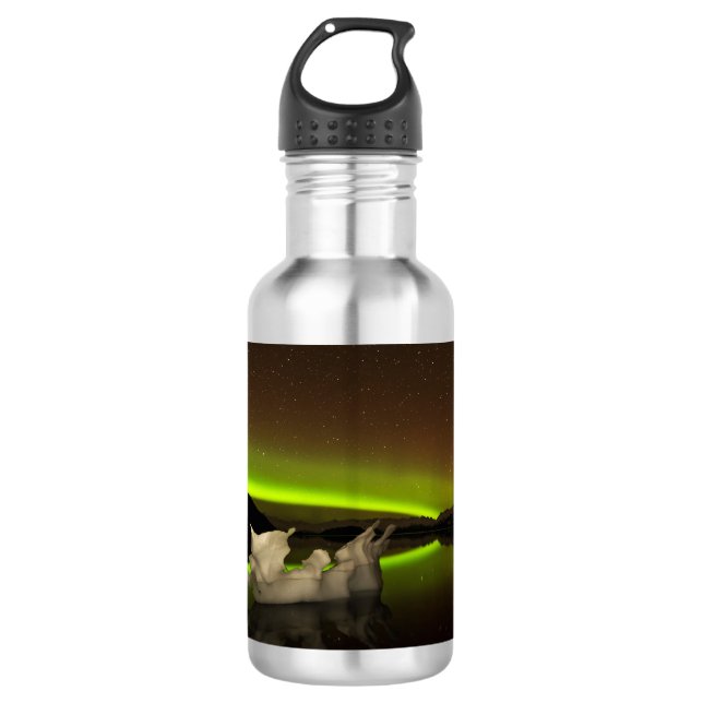 Iceberg Aurora Stainless Steel Water Bottle (Front)