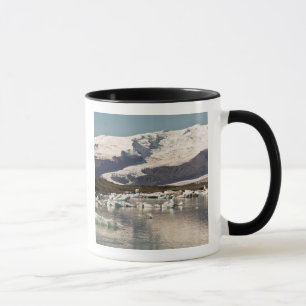 Iceberg formations mug