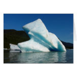 Iceberg on Mendenhall Lake in Alaska
