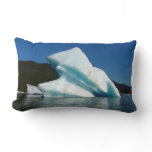 Iceberg on Mendenhall Lake in Alaska Lumbar Pillow