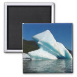 Iceberg on Mendenhall Lake in Alaska Magnet