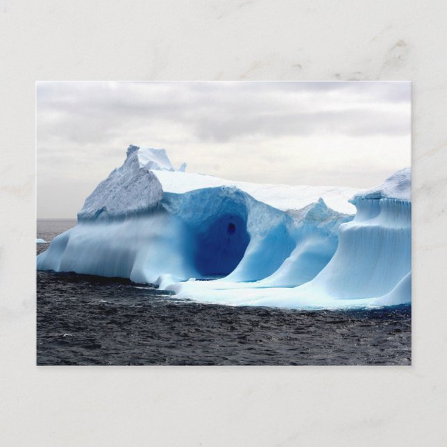 Iceberg Sculpture Postcard (Front)