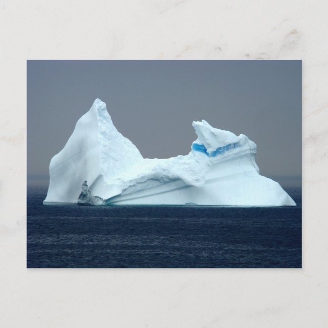 Icebergs in Newfoundland Postcard (Front)