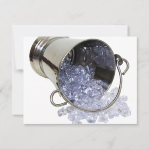 IceBucket060709
