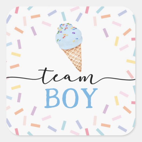 Icecream Gender Reveal Team Boy  Square Sticker