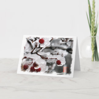 Iced Berries Holiday Card