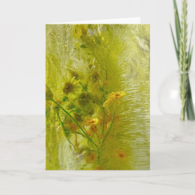 Iced Blossoms,  Card (Front)