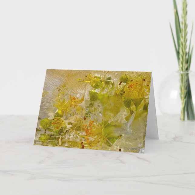 Iced Blossoms,  Card (Front)